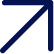 Vector